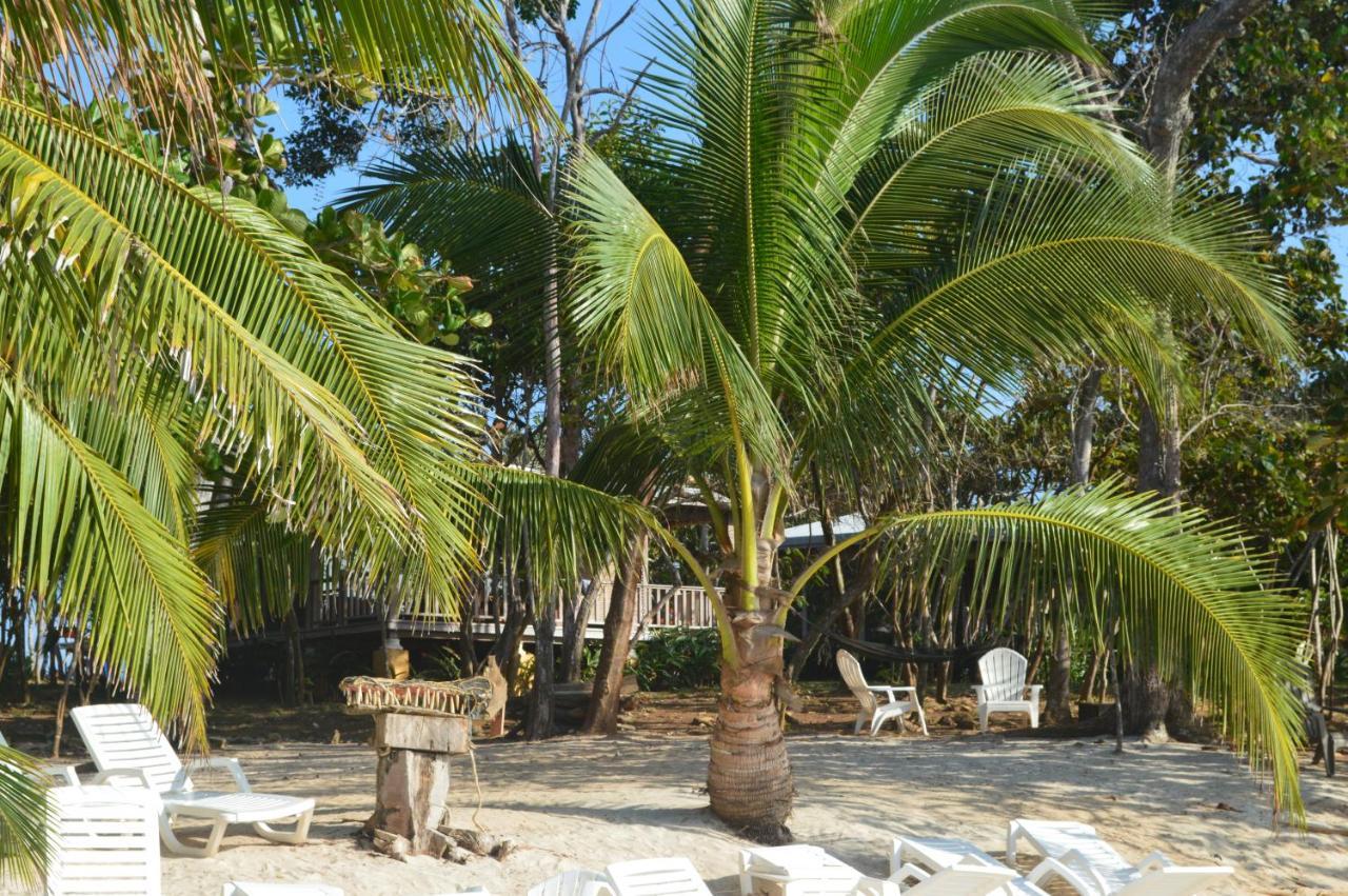 Sonny Island Resort Cabanas Frente Al Mar Punta Bajo Rico Eksteriør billede